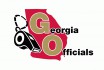 Georgia Officials LLC/ GO - Home